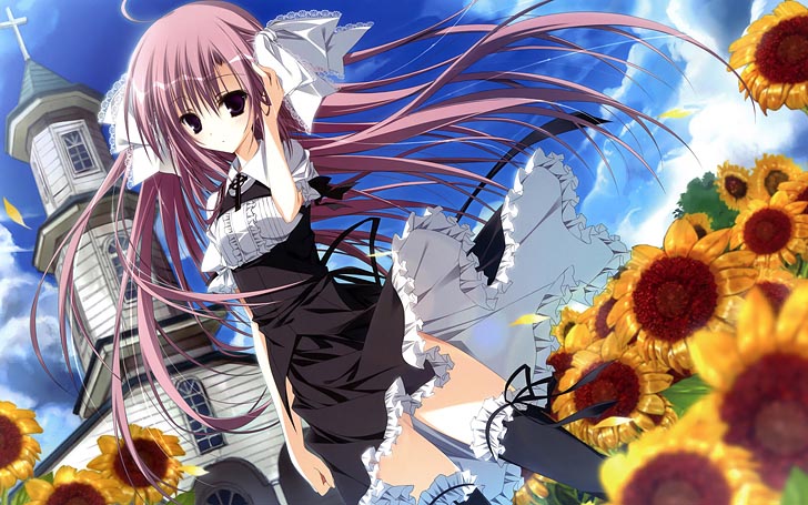 向日葵教会和漫长的暑假美图（1）