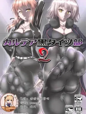 卡尔德亚黑丝袜部2 (Fate/Grand Order)